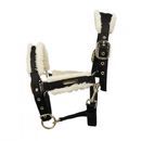 Coldstream Langlee Luxury Head Collar &amp; Lead Rope additional 2