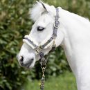 Coldstream Langlee Luxury Head Collar &amp; Lead Rope additional 3