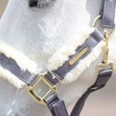 Coldstream Langlee Luxury Head Collar &amp; Lead Rope additional 4