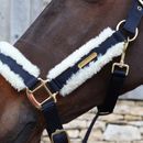 Coldstream Langlee Luxury Head Collar &amp; Lead Rope additional 7