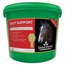 Global Herbs Gut Support additional 2