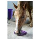 Likit Graze Maze additional 7