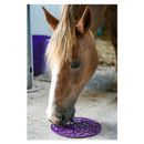 Likit Graze Maze additional 6