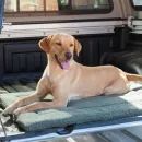 House of Paws Berber Crate Mat additional 2