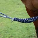 Hy Equestrian Lunging Aid additional 2