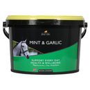 Lincoln Mint &amp; Garlic additional 2