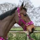 Supreme Products Dotty Fleece Head Collar &amp; Lead Rope additional 3