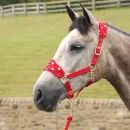 Supreme Products Dotty Fleece Head Collar &amp; Lead Rope additional 7