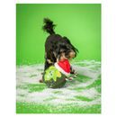 House of Paws Christmas Rope Toy additional 4