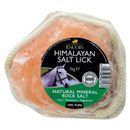 Lincoln Himalayan Salt Lick additional 2