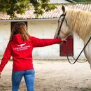 Longhorn Signature Series Red Hoodie additional 1