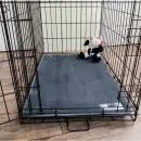 Pet Rebellion Crate Mat 76cm X 48cm additional 1