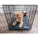 Pet Rebellion Crate Mat 76cm X 48cm additional 2
