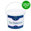 PROTEXIN GUT BALANCER *PROMO* additional 2