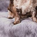 Pet Rebellion Comfy Grey Faux Fur Furniture Cover additional 5