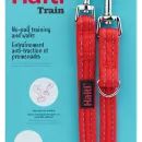 Halti Red Training Lead additional 1
