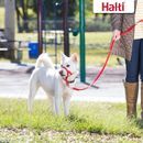 Halti Red Training Lead additional 3