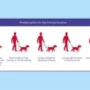 Halti Red Training Lead additional 5