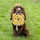 Benji &amp; Flo Crazy Faces Dog Toys additional 6