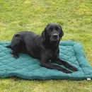 Benji &amp; Flo Essential Fleece Dog Bed additional 4