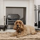 Pet Rebellion Snug Rug For Dogs 67 x 100cm additional 1