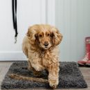 Pet Rebellion Snug Rug For Dogs 67 x 100cm additional 3