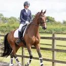 Hy Equestrian Roka Regal Show Jacket additional 7
