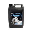 Lillidale White N Bright Shampoo additional 2