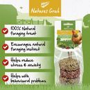 Natures Grub Peck 'N' Play Hanging Treat additional 3