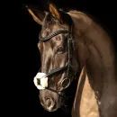 ProPresicce Pelle Grackle Leather Bridle by Hy Equestrian additional 4