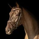 ProPresicce Pelle Raised Flash Leather Bridle by Hy Equestrian additional 6
