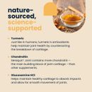 Seraquin Joint Tablets for Dogs - 60 Tablets additional 5