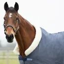 StormX Empra Cushioned Fleece Rug additional 2