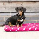 Supreme Products Dotty Fleece Dog Bed additional 1