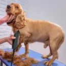 Wahl Max 60 Clipper Kit additional 8