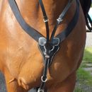 Whitaker Bp048av Eastwood Elasticated Black Breastplate additional 1