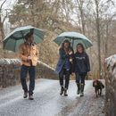 Hoggs of Fife 1888 Sports Umbrella additional 7