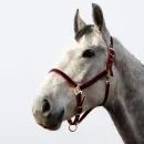 HyCONIC Head Collar additional 13