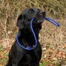 Benji &amp; Flo Classic Slip Lead additional 4