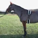 Hy Equestrian Lunge Roller additional 3