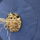 Slow Flow Play Bag by Hy Equestrian additional 3