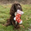 Benji &amp; Flo Christmas Dog Toys additional 2