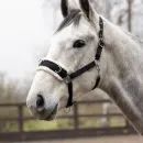 Hy Equestrian Fleece Lined Lunge Cavesson additional 2