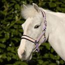 Hy Equestrian Glimmer Head Collar additional 2