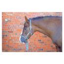 Hy Equestrian Tartan Head Collar with Lead Rope additional 4