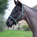 Hy Equestrian Trinity Head Collar additional 2