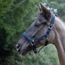 ProReaction Transform Head Collar by Hy Equestrian additional 2