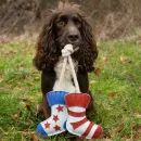 Benji &amp; Flo Tug 'n' Play Dog Toys additional 6