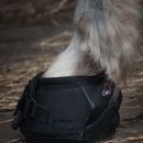Cavallo Long Ear Boot additional 3