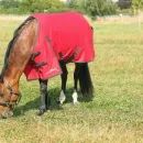 HyCONIC 50g Turnout Rug additional 2